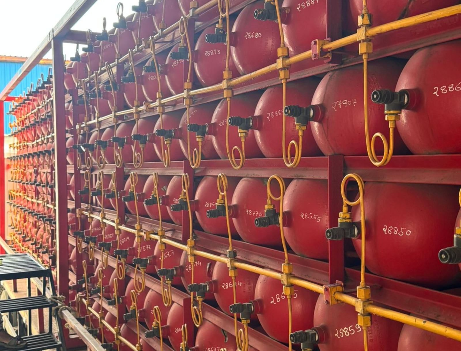 Untitled design (11)